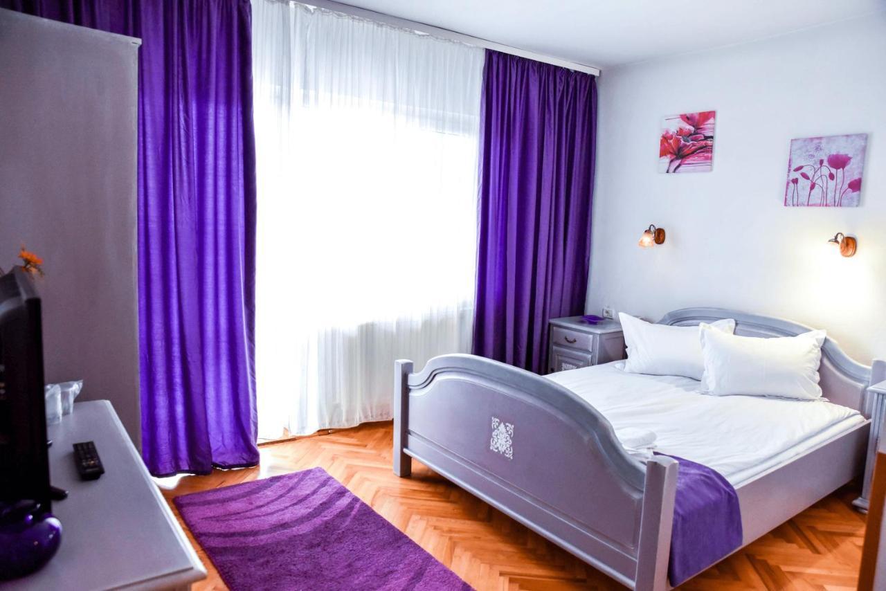 Pensiunea Vila Silva I Haţeg エクステリア 写真