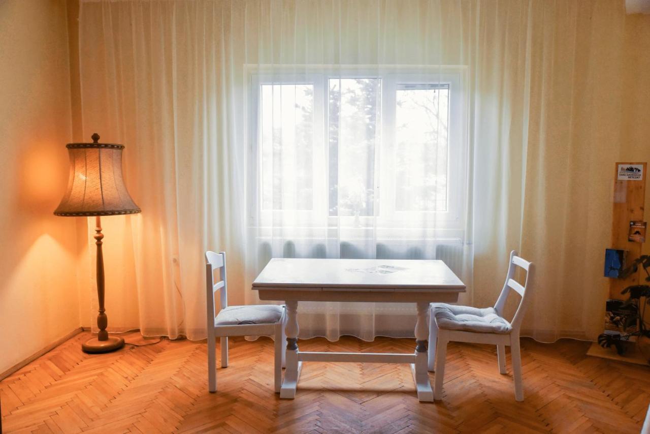 Pensiunea Vila Silva I Haţeg エクステリア 写真