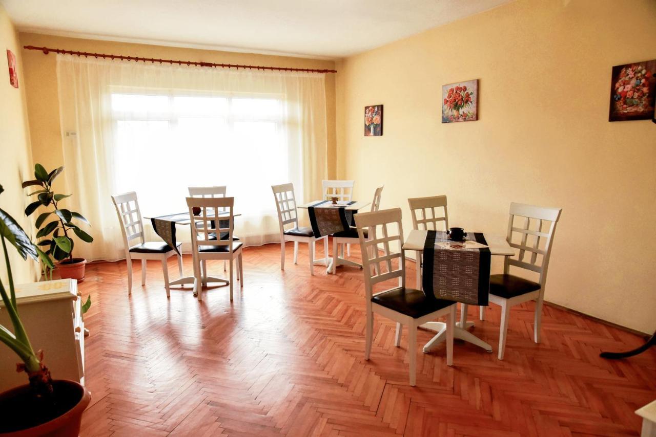 Pensiunea Vila Silva I Haţeg エクステリア 写真