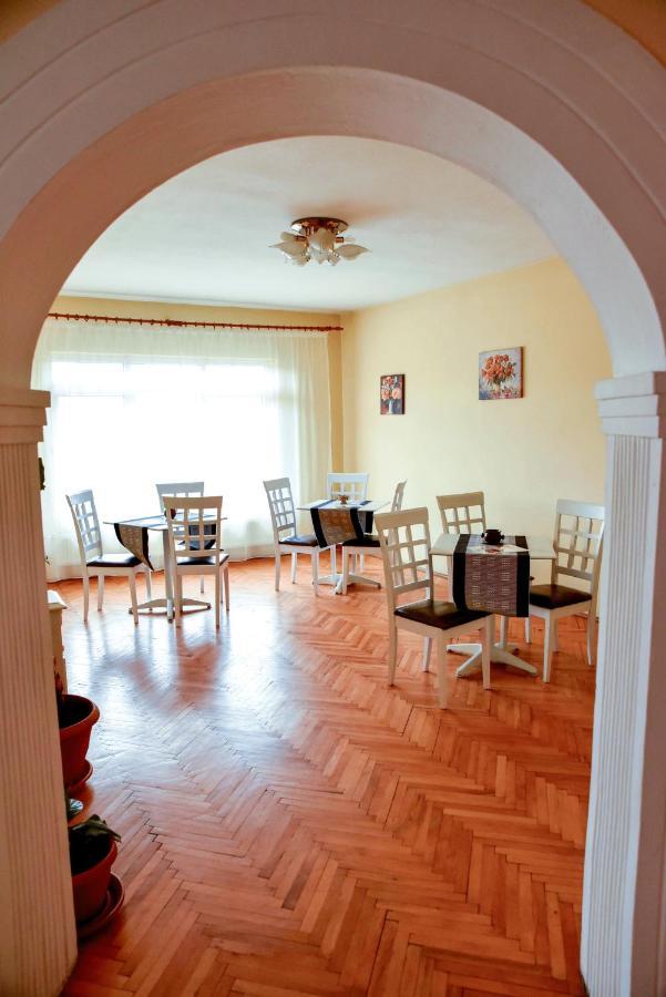 Pensiunea Vila Silva I Haţeg エクステリア 写真