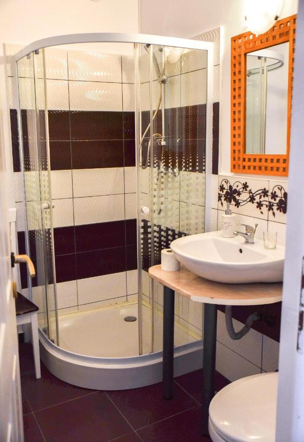 Pensiunea Vila Silva I Haţeg エクステリア 写真