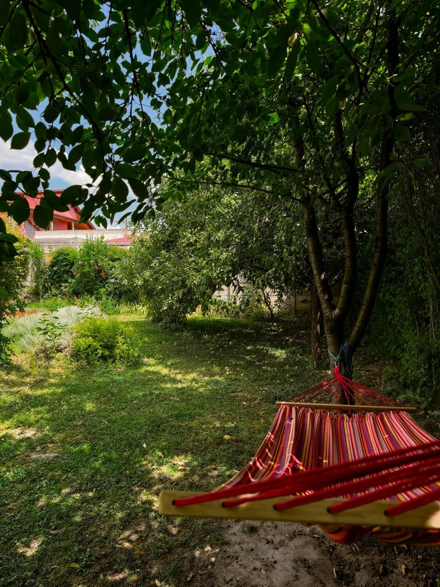 Pensiunea Vila Silva I Haţeg エクステリア 写真